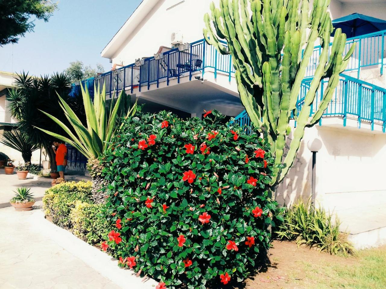 B&B Nido Colorato Fontane Bianche Exterior foto